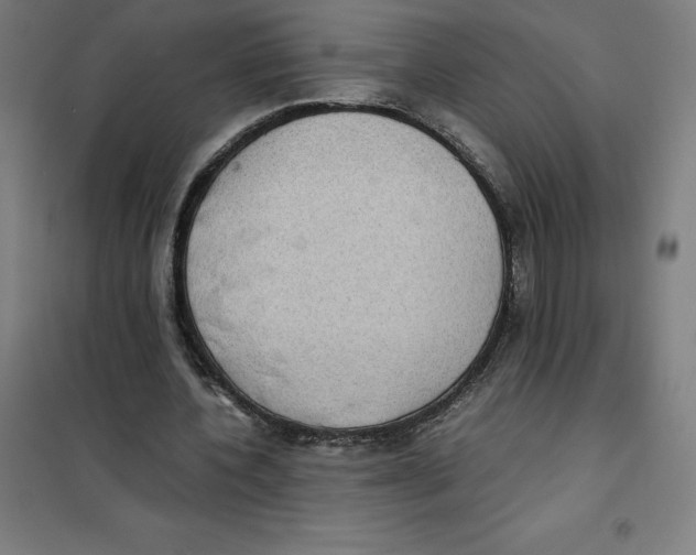 X0000101190532200807251005