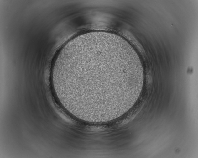 X0000101190533200807251005