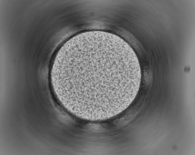 X0000101190534200807251005