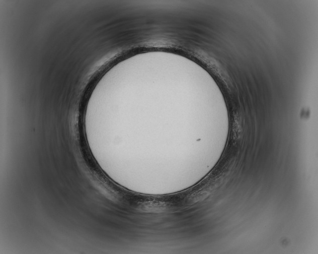 X0000101190535200807251005