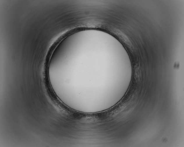 X0000101190536200807251005