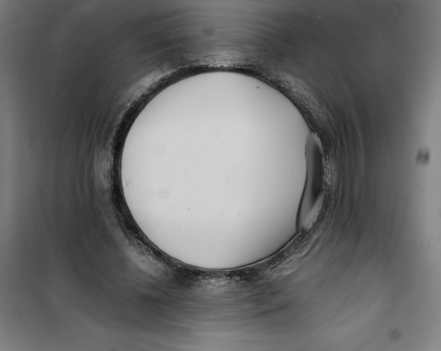 X0000101190540200807251005
