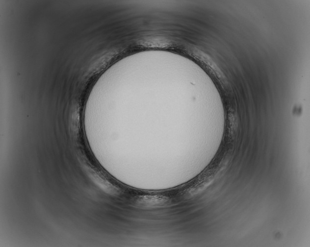 X0000101190541200807251005