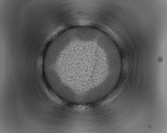 X0000101190542200807251005