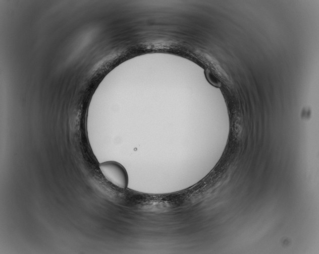 X0000101190543200807251005