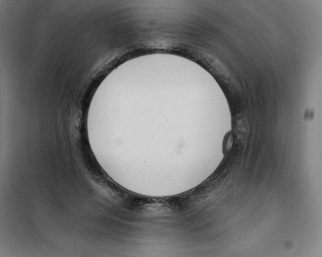 X0000101190544200807251005