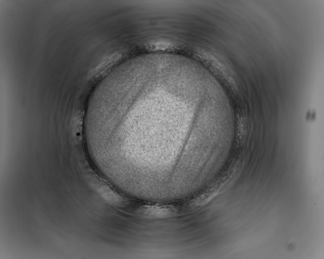 X0000101190545200807251005