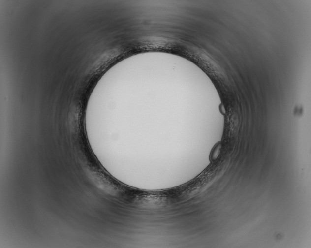 X0000101190546200807251005