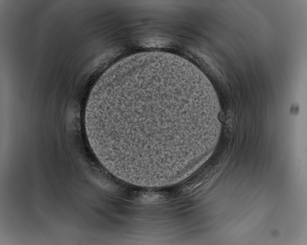 X0000101190547200807251005