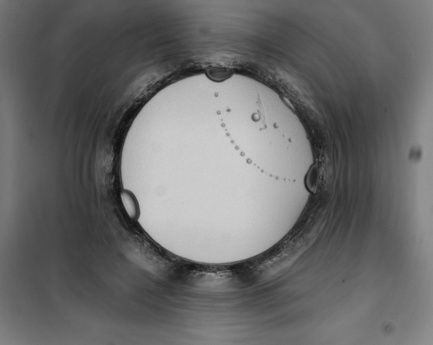 X0000101190548200807251005