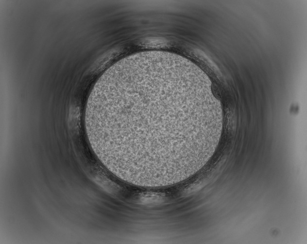 X0000101190549200807251005