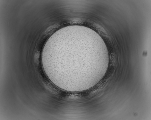 X0000101190550200807251005