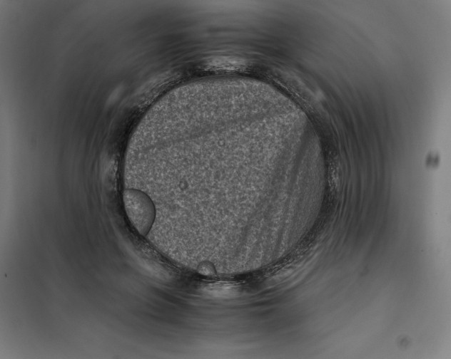 X0000101190551200807251005