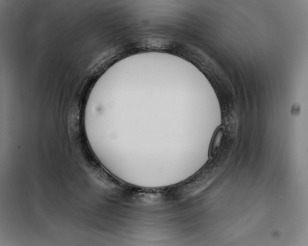X0000101190552200807251005
