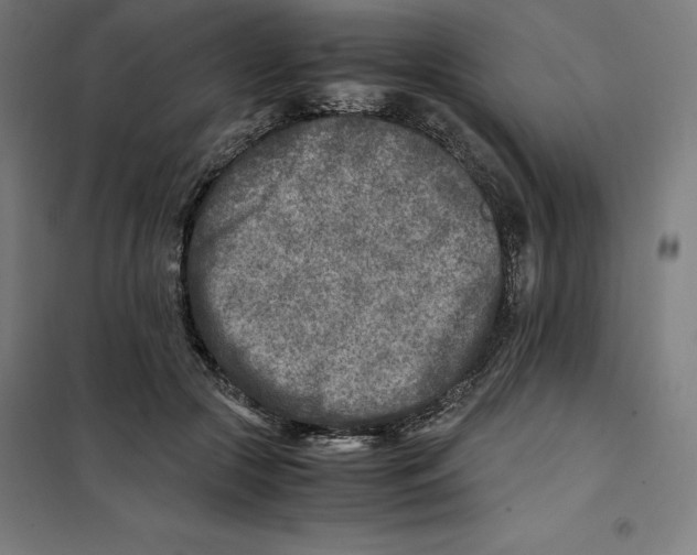 X0000101190553200807251005