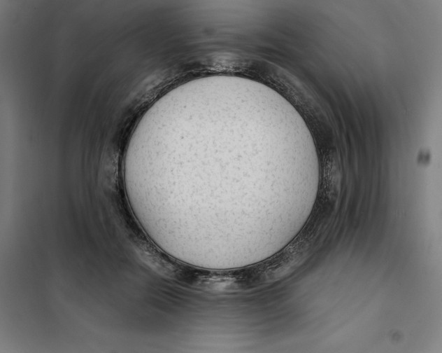 X0000101190554200807251005
