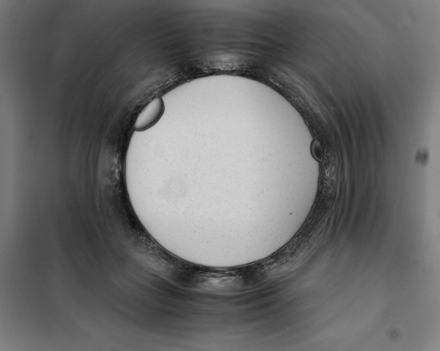 X0000101190555200807251005
