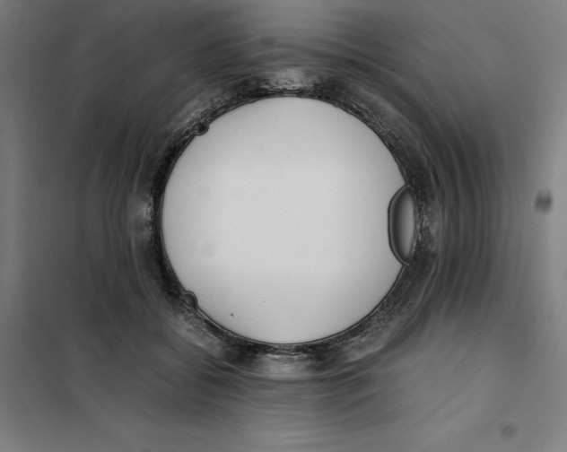 X0000101190556200807251005