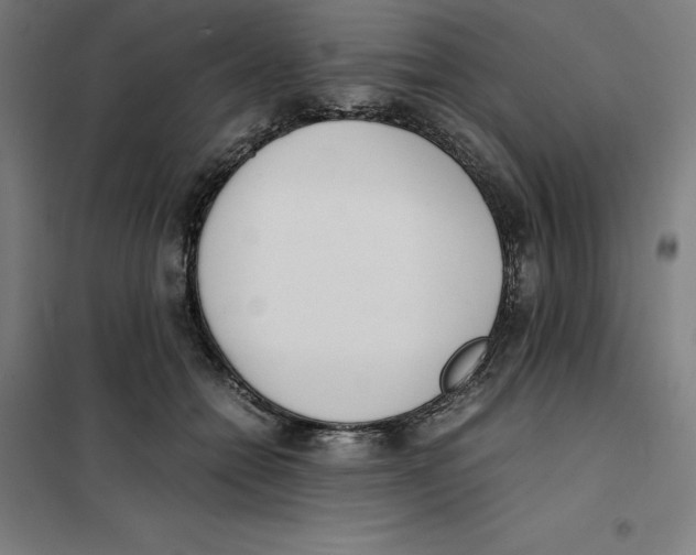 X0000101190558200807251005