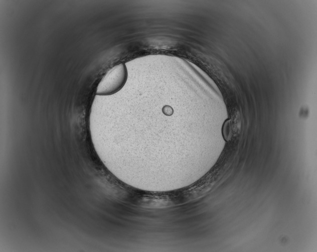 X0000101190559200807251005