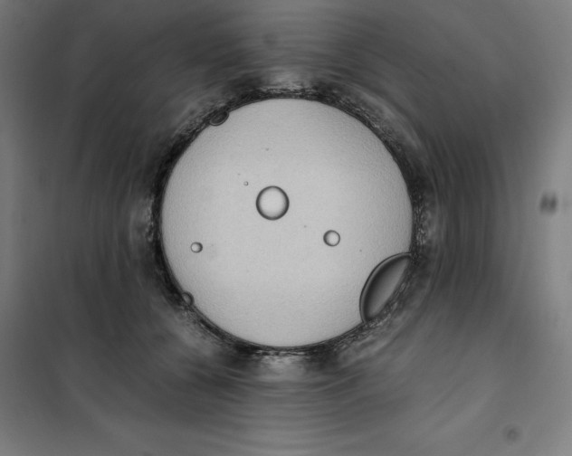 X0000101190560200807251005