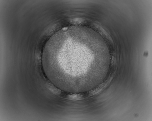 X0000101190561200807251005
