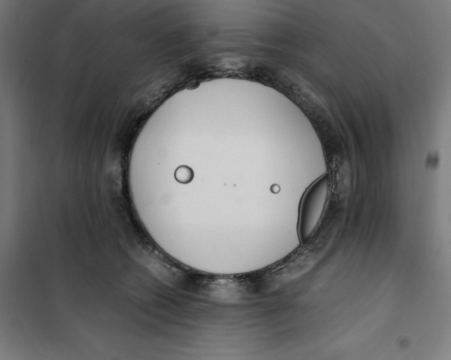 X0000101190562200807251005