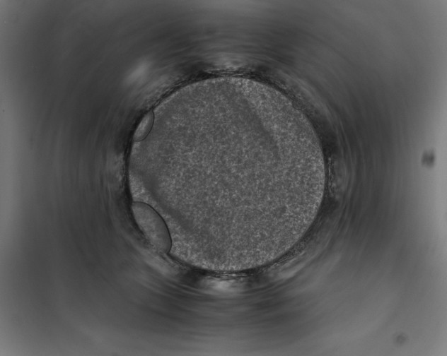 X0000101190563200807251005