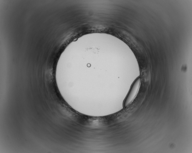 X0000101190564200807251005