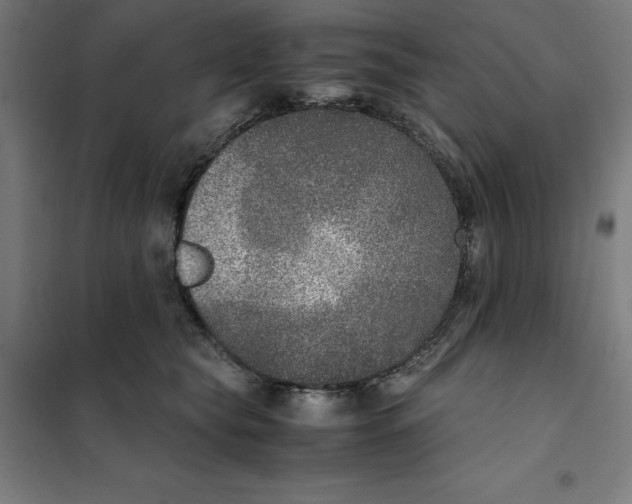 X0000101190565200807251005