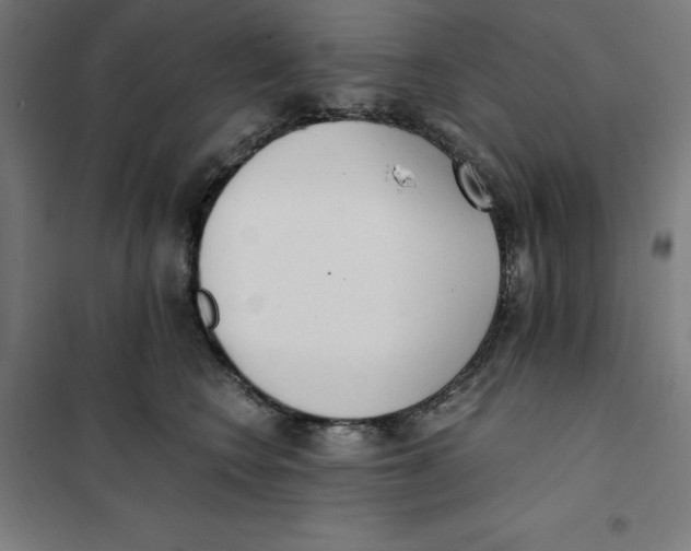 X0000101190566200807251005