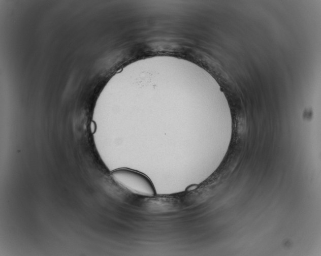 X0000101190567200807251005