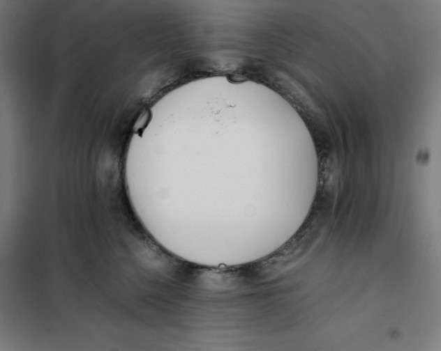 X0000101190568200807251005