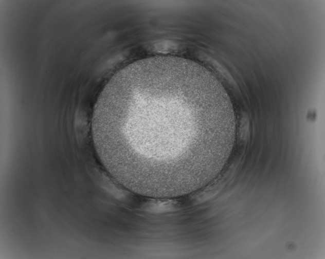 X0000101190569200807251005