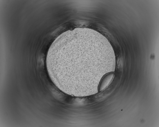X0000101190570200807251005