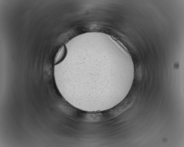 X0000101190571200807251005