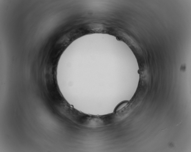 X0000101190572200807251005