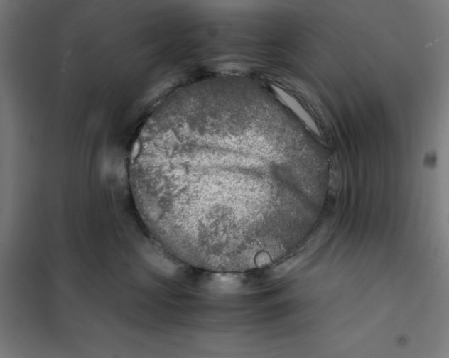 X0000101190573200807251005