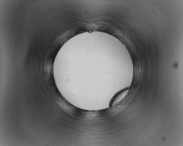 X0000101190574200807251005