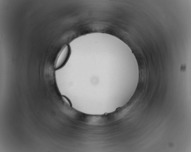 X0000101190575200807251005
