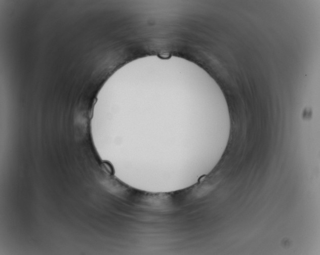 X0000101190576200807251005