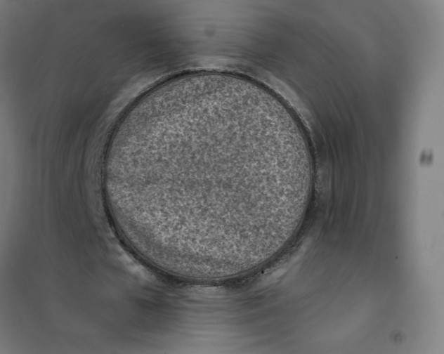 X0000101190577200807251005