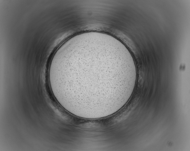 X0000101190578200807251005