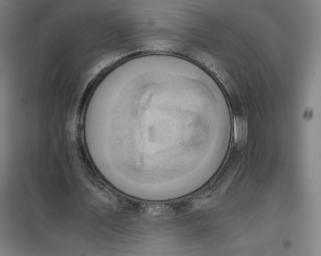 X0000101190579200807251005