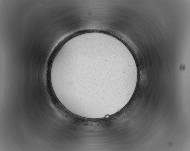 X0000101190580200807251005