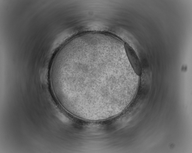 X0000101190581200807251005