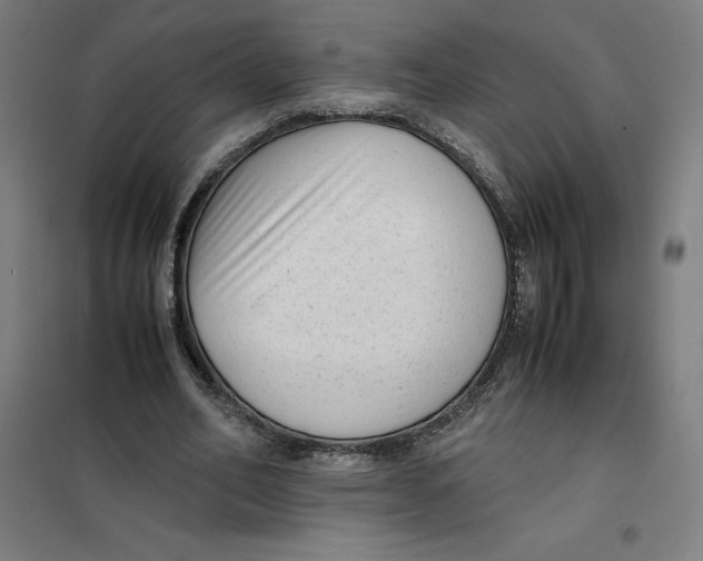 X0000101190582200807251005
