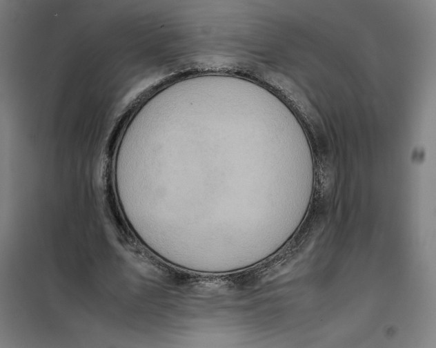 X0000101190583200807251005