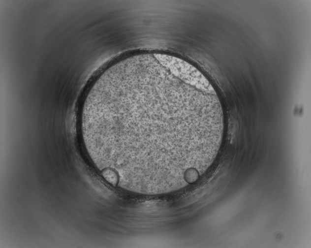 X0000101190584200807251005