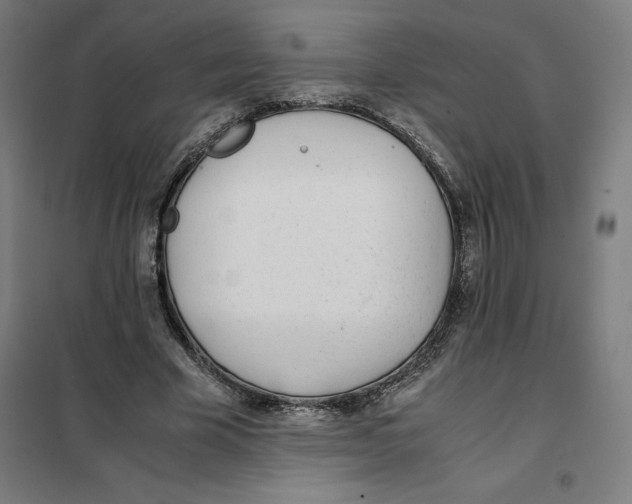 X0000101190585200807251005